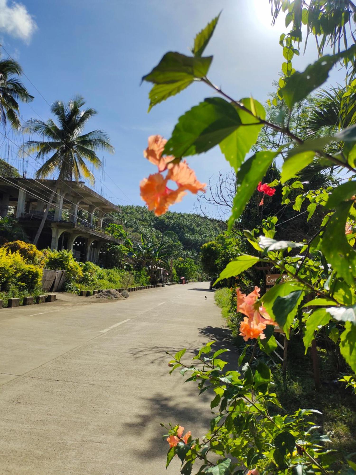 Reggae Vibes Bali Inspired Cottage Romblon Εξωτερικό φωτογραφία